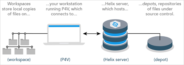 p4v-diagram-1-v2.webp