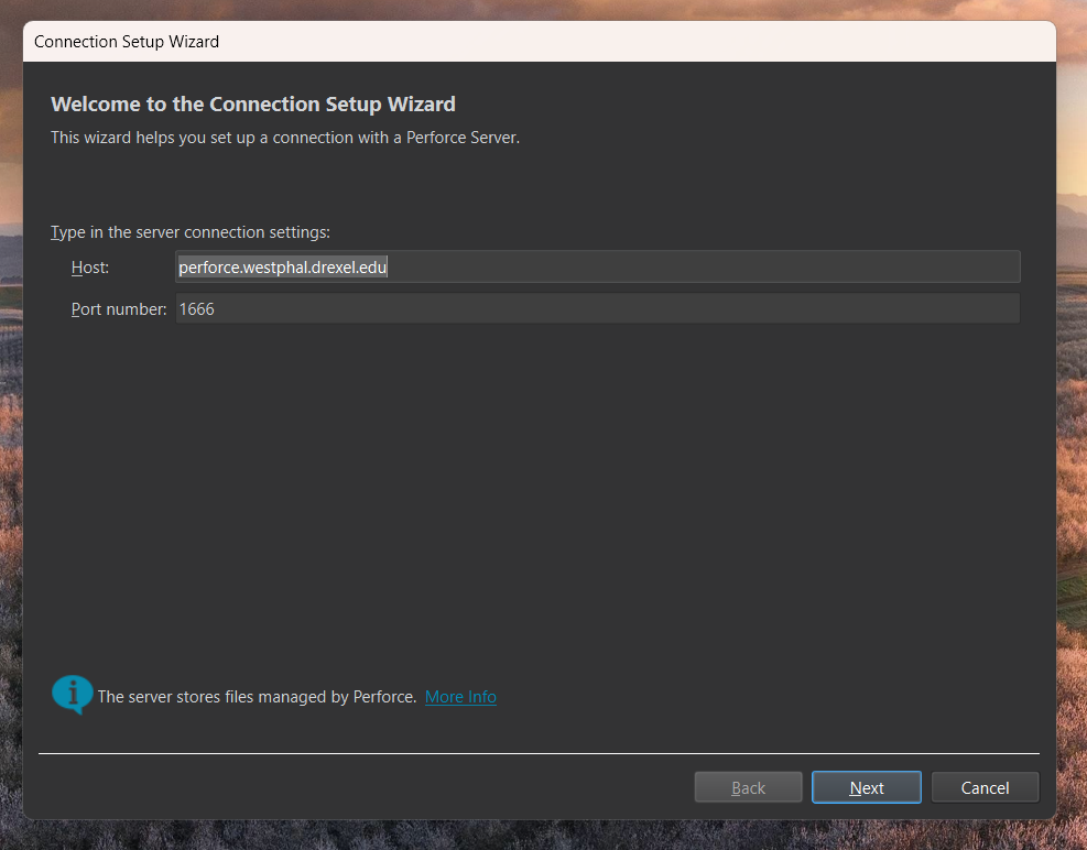 perforce_server_port.png